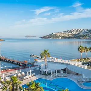 book here